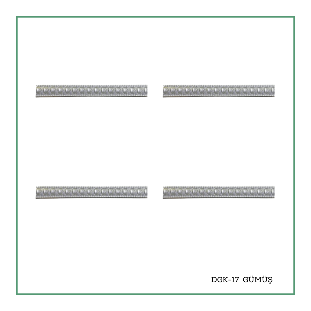 DGK-17  Gümüş